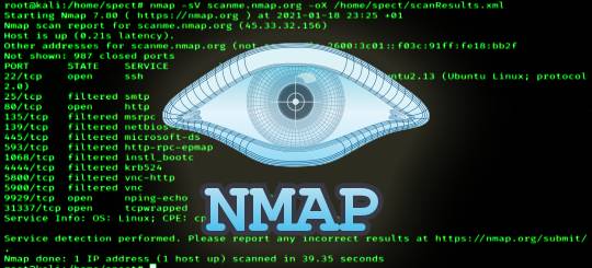 Desvendando o Nmap: Um Guia Completo para o Scanner de Vulnerabilidades Essencial